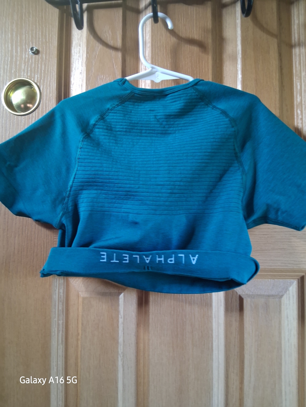 Alphalete Amplify Teal Short Sleeve Ribbed Crop Top